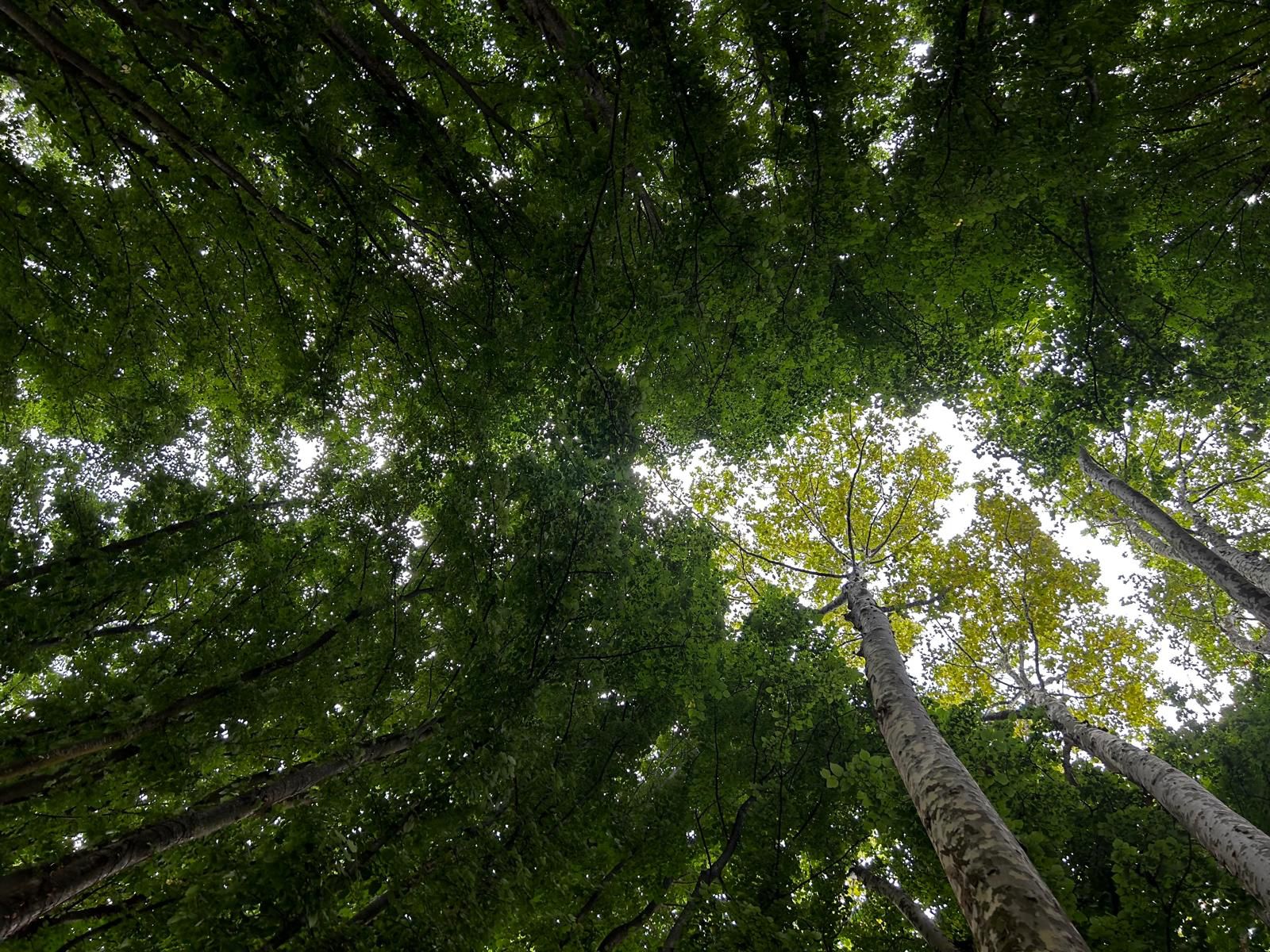 Bilancio 2025: crescono indici patrimoniali e di redditività e risparmio energetico. Minori emissioni di CO2 dei comuni soci